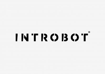 Introbot